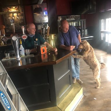 two men standing at a bar with a dog on its backlegs with front paws up on bar